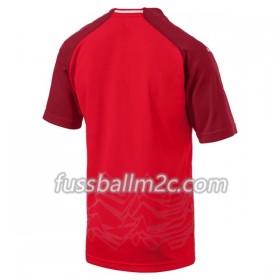 Fußballtrikots Österreich Heim Trikotsatz 2018